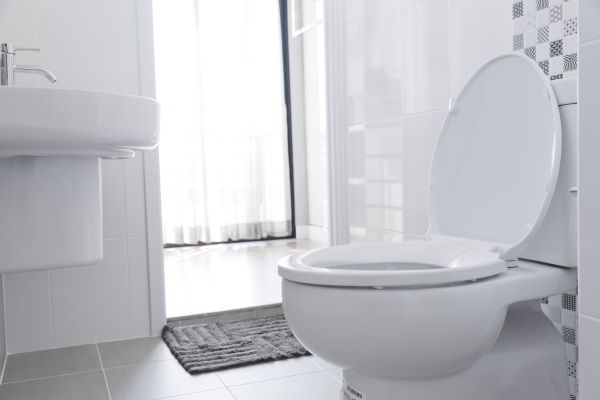 Cost of Toilet Seat Installation in Great Falls