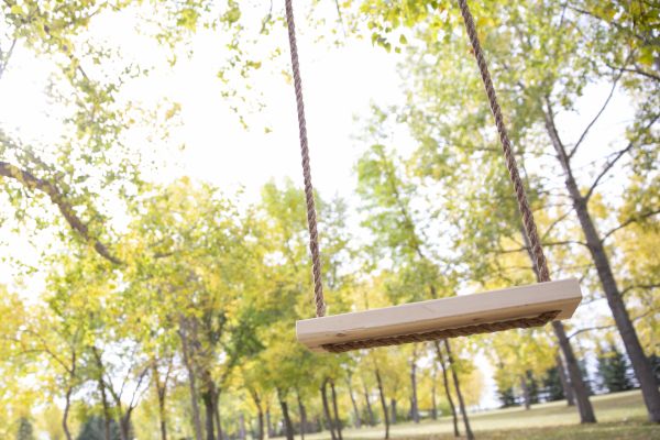 Cost of Swing Installation in Great Falls