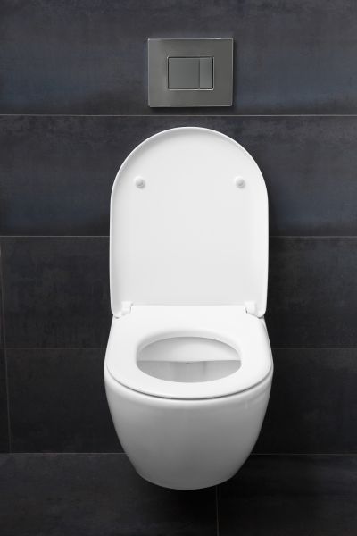 Cost of Toilet Lid Installation in Great Falls