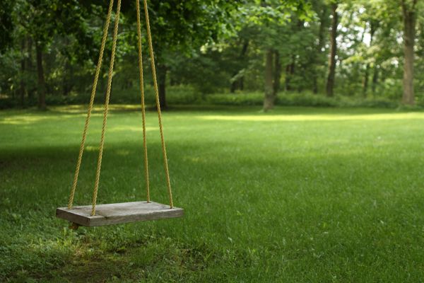 Cost of Rope Swing Installation in Great Falls