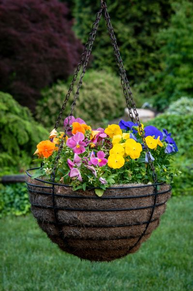 Cost of Hanging Basket Installation in Great Falls