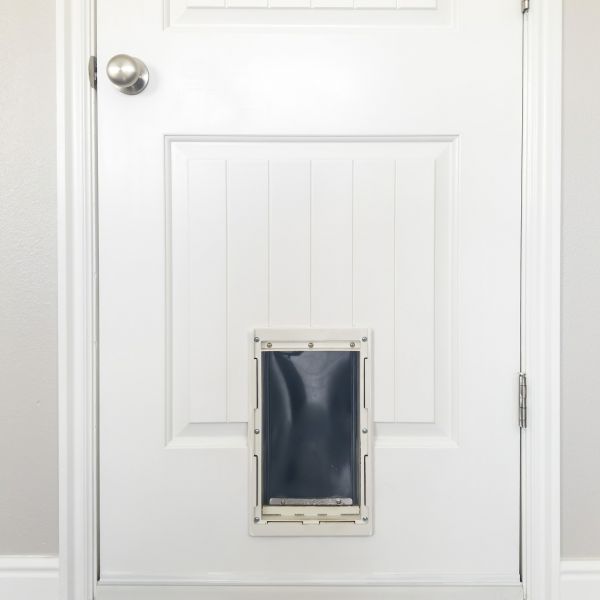 Cost of Pet Door Repair in Great Falls