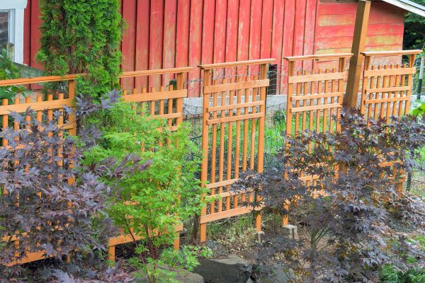 Wood Trellis Mounting in Great Falls