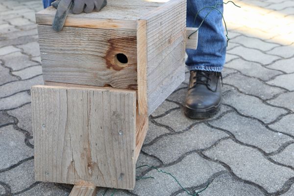 Cost of Birdhouse Mounting in Great Falls